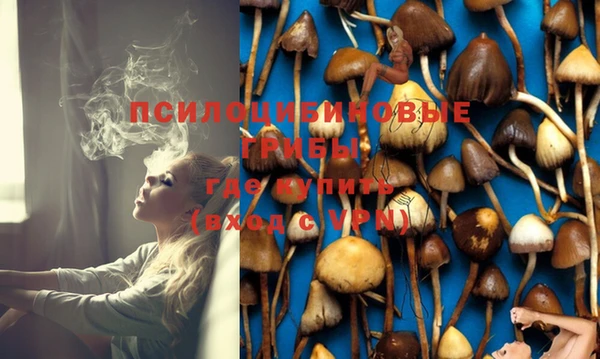 не бодяженный Богданович