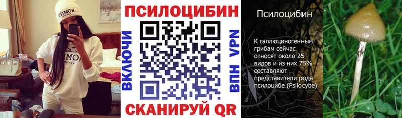 KRAKEN   Наро-Фоминск  Псилоцибиновые грибы Cubensis  даркнет сайт 